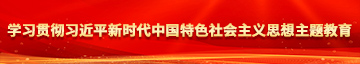 下面看出水网站不要停乳交学习贯彻习近平新时代中国特色社会主义思想主题教育